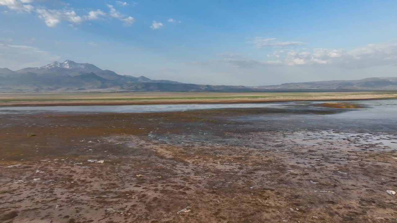 气候变化对湿地的影响:垂死栖息地和火烈鸟行为的鸟瞰图视频素材