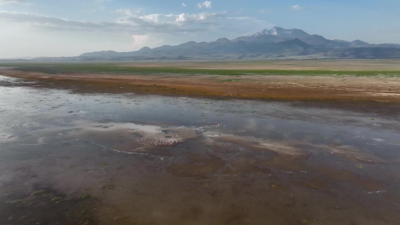 气候变化对湿地的影响:垂死栖息地和火烈鸟行为的鸟瞰图视频素材