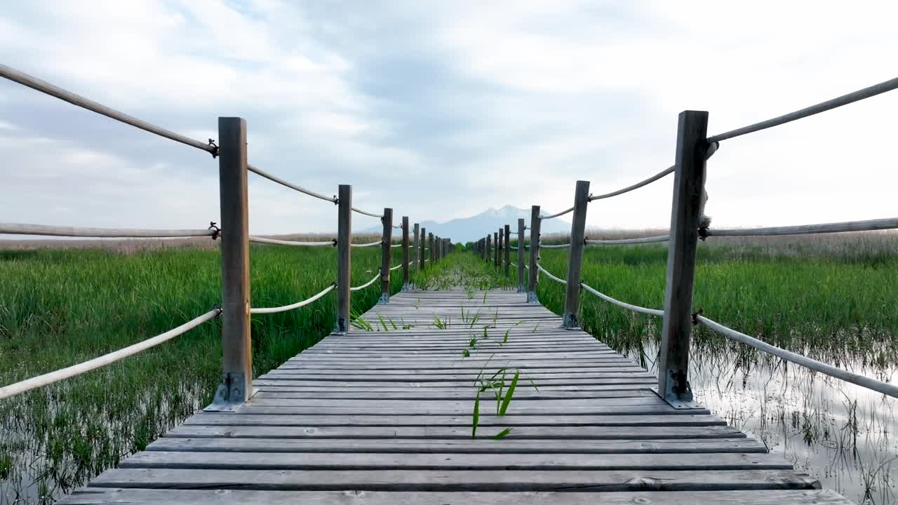 穿过茂密湿地的宁静木制小径视频下载