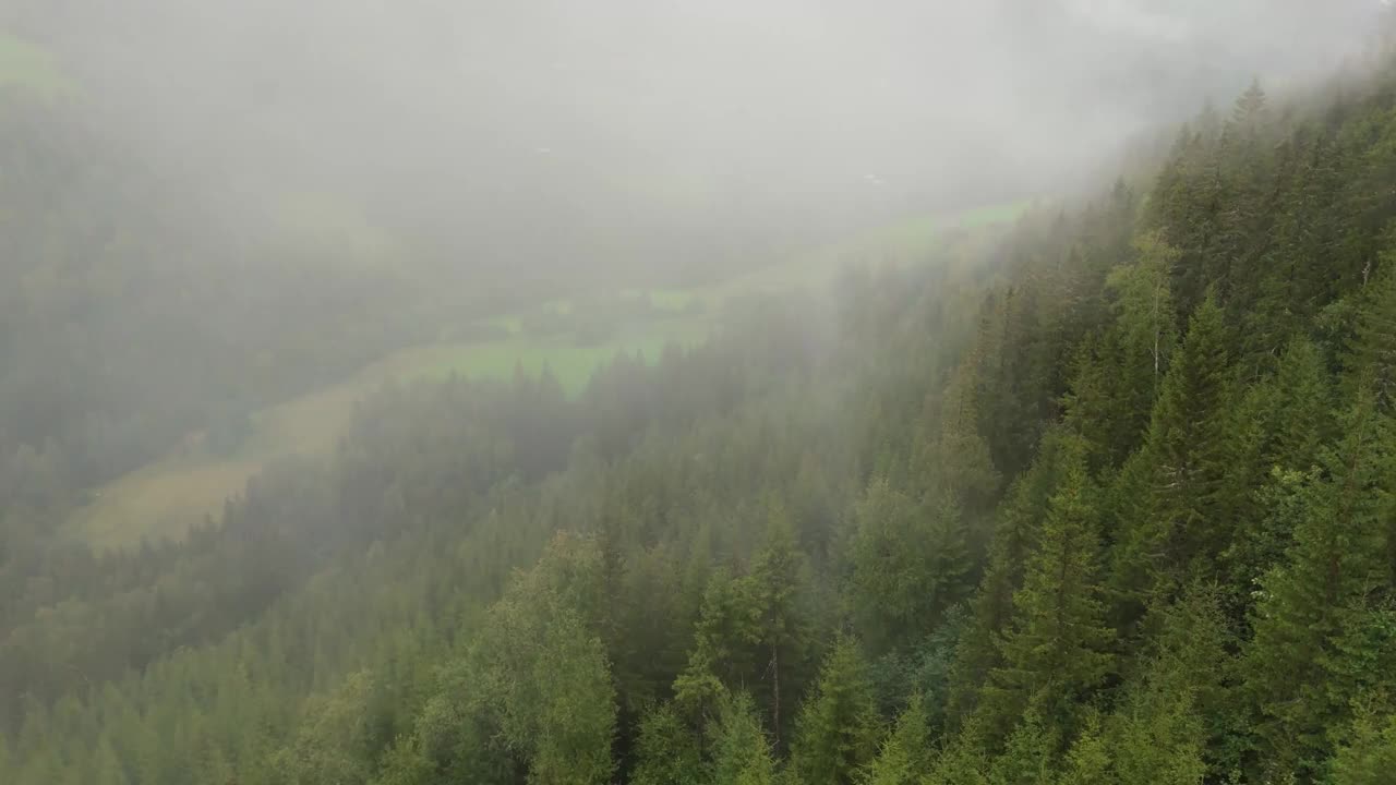 鸟瞰图显示雾气笼罩在风景秀丽的山坡上的森林树木上，营造出宁静而神秘的氛围。多莉拍摄视频素材