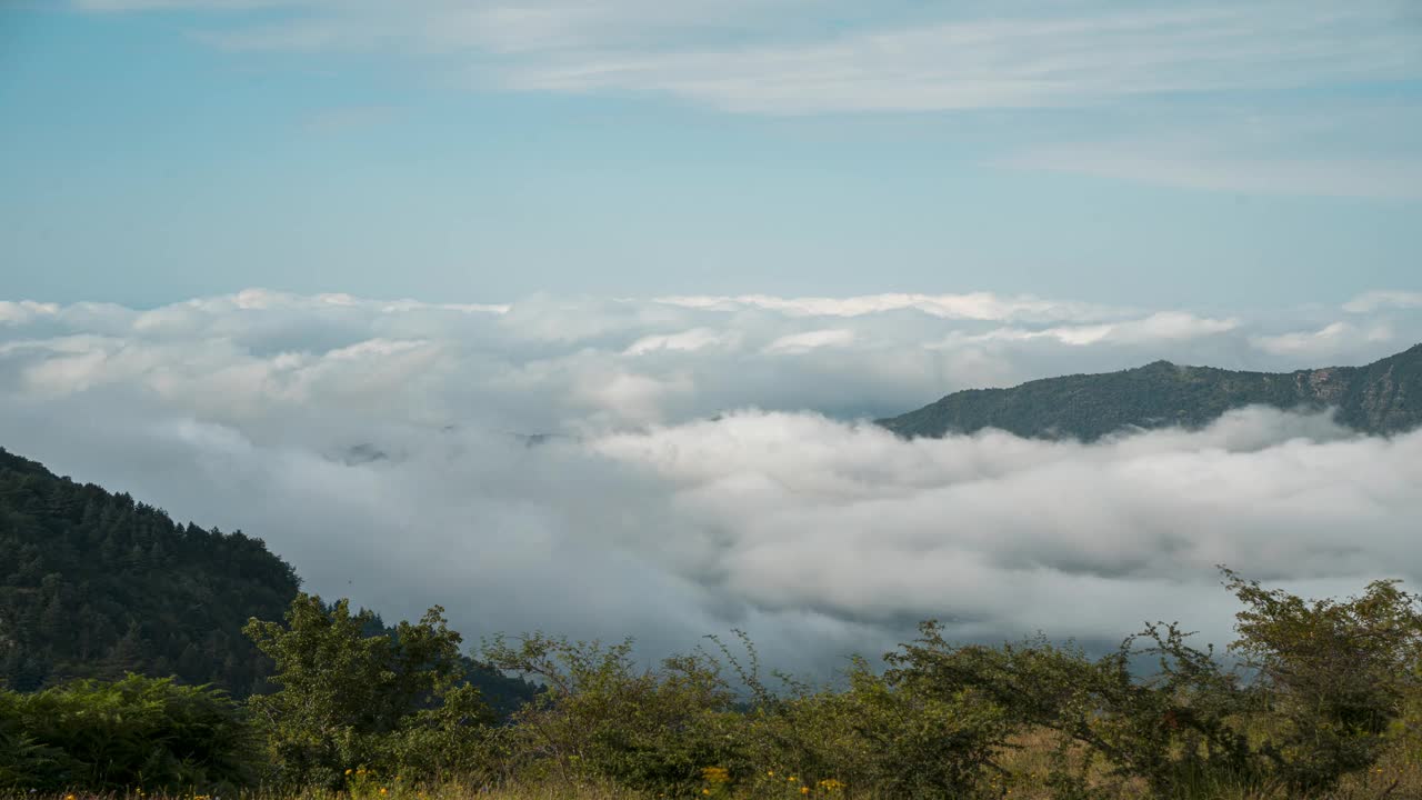 在一个宁静的早晨，云在郁郁葱葱的青山上翻滚视频素材