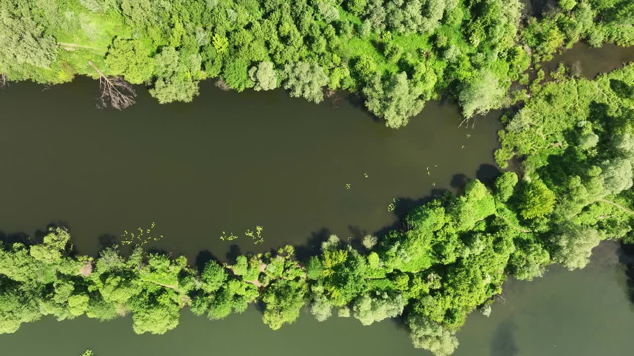 水生生态系统，宁静的池塘和湿地植被俯瞰视频素材