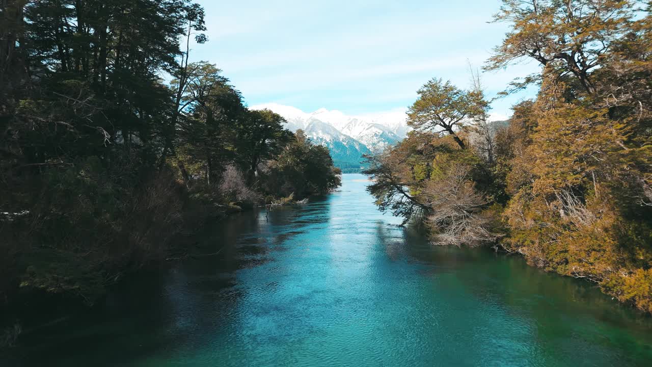 宁静的河流流经茂密的森林视频下载