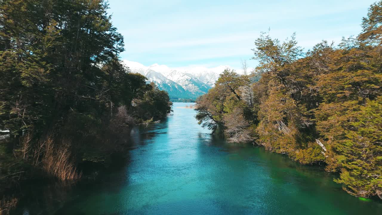 宁静的河流流经茂密的森林视频素材