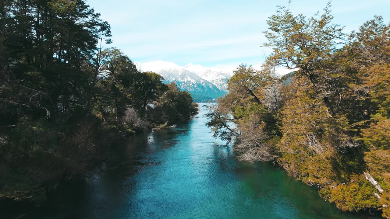 宁静的河流流经茂密的森林视频下载