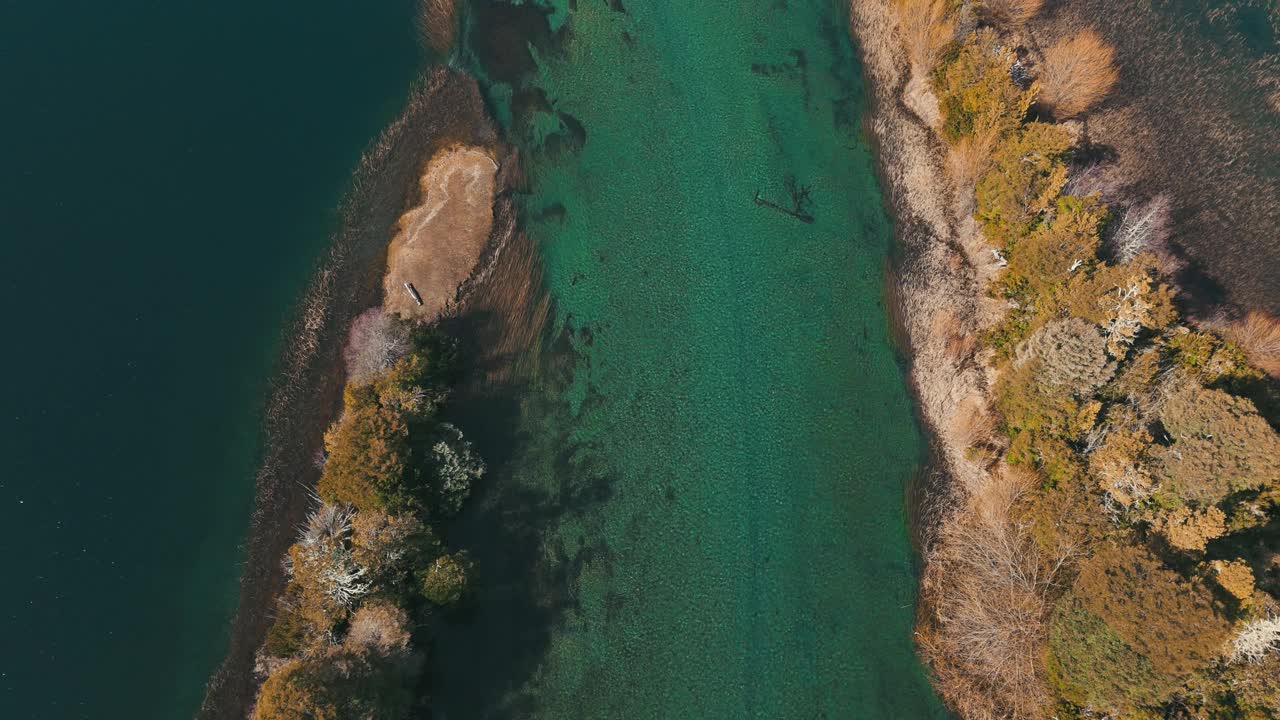 宁静的河流流经茂密的森林视频下载