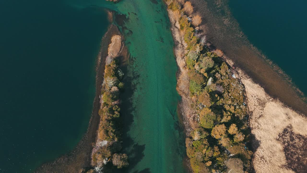 宁静的河流流经茂密的森林视频下载