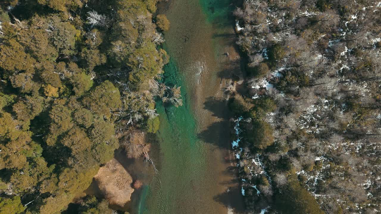 原始森林和河流的鸟瞰图视频下载