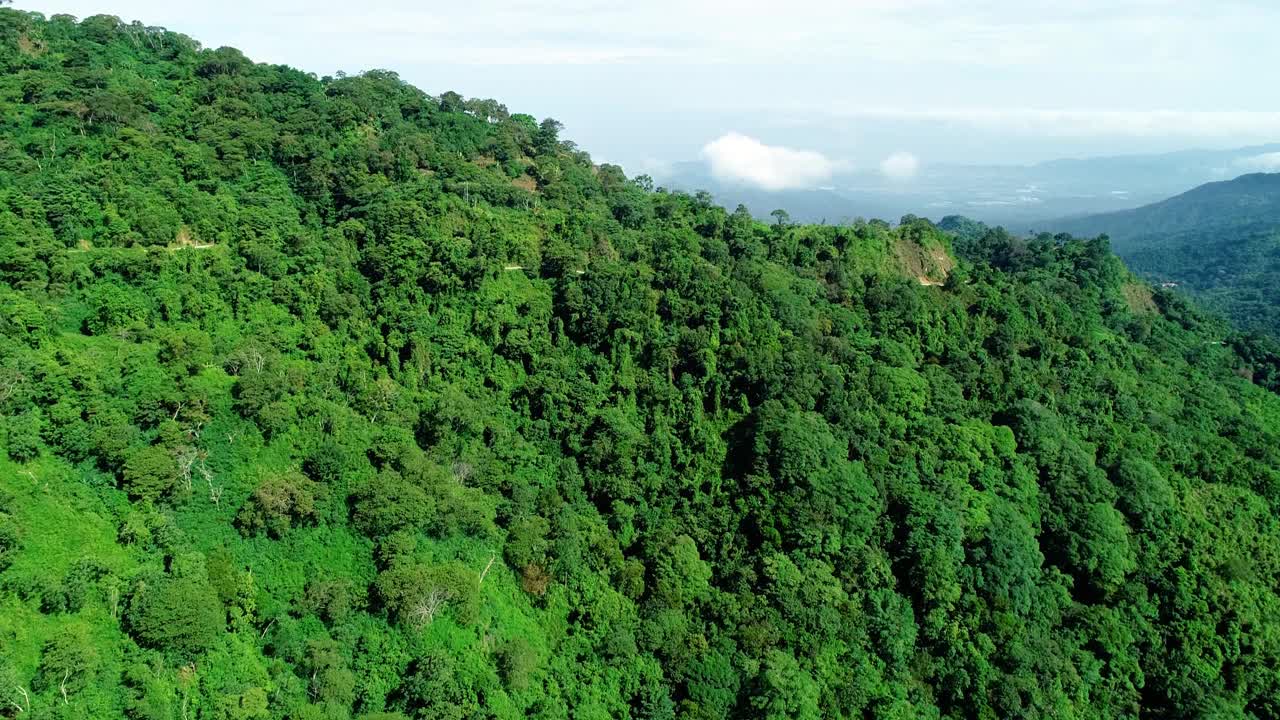 在阳光明媚的日子里，哥伦比亚茂密的绿色山脉的鸟瞰图，热带自然。视频素材