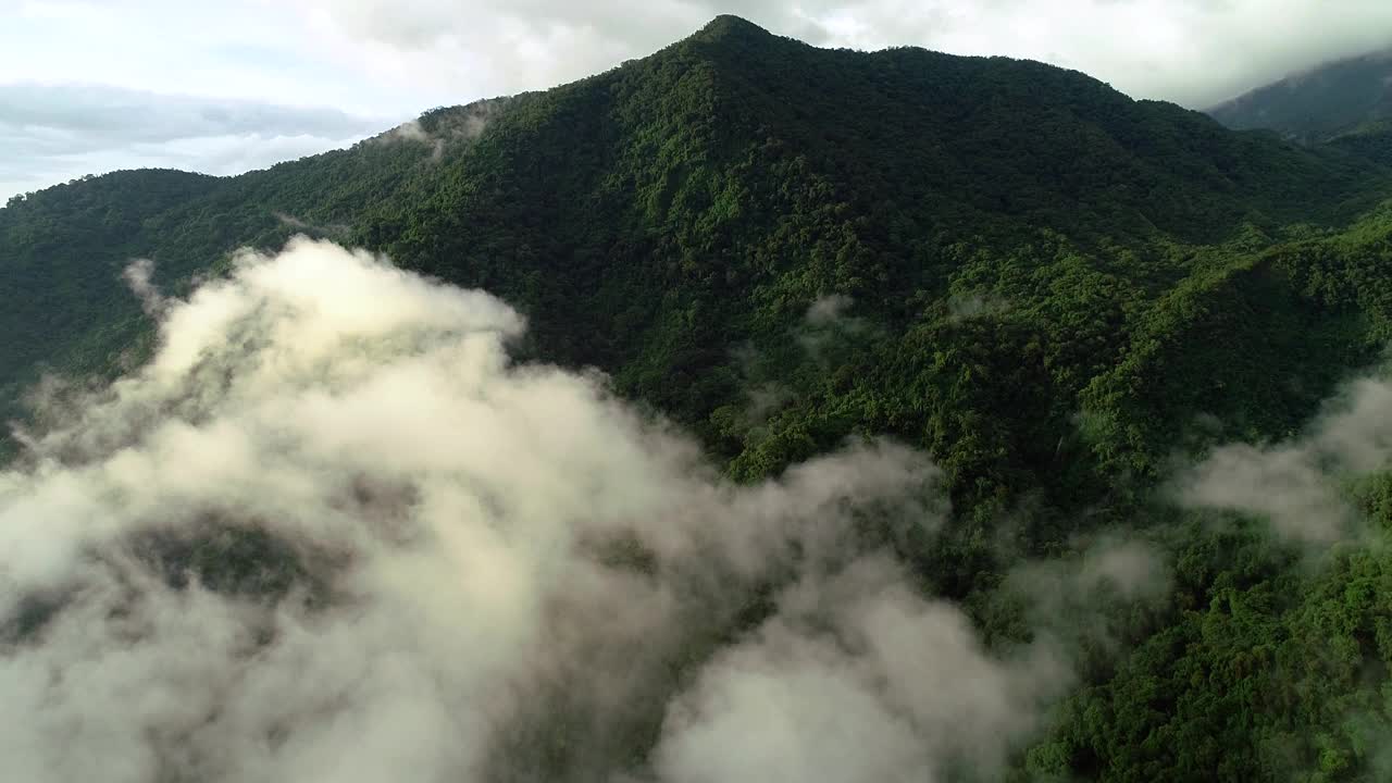 茂密的热带森林覆盖着巨大的山脉，哥伦比亚，无人机在薄雾中飞行。视频素材