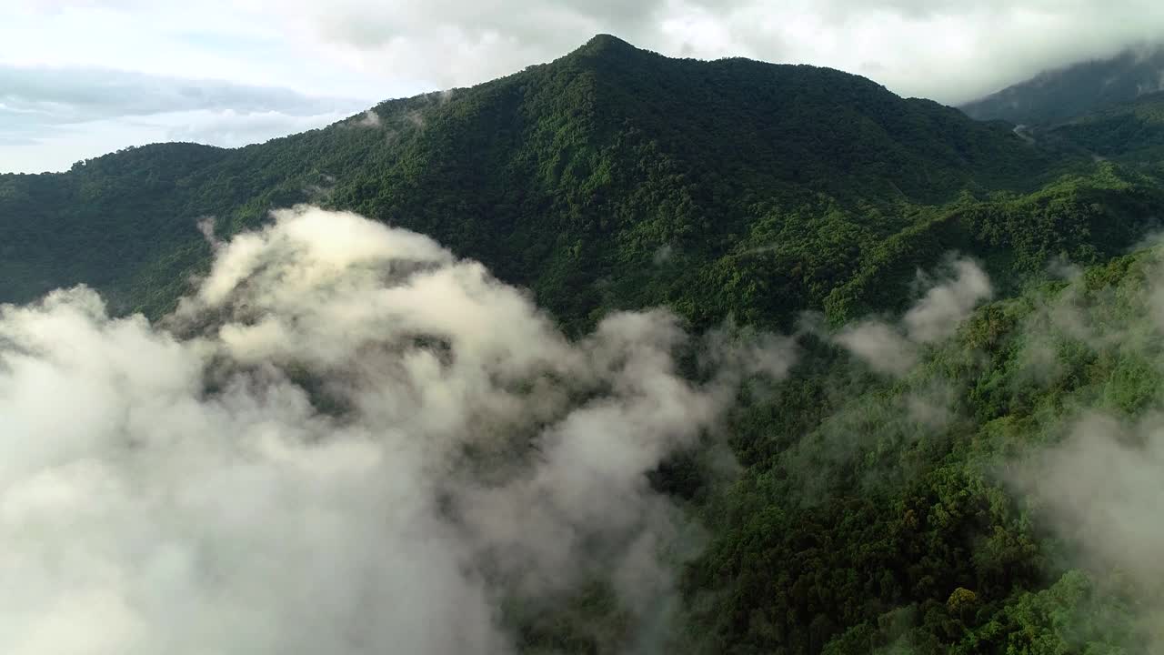 巨大的山峰，尖尖的山峰覆盖着茂密的植被，下面是薄雾。视频素材