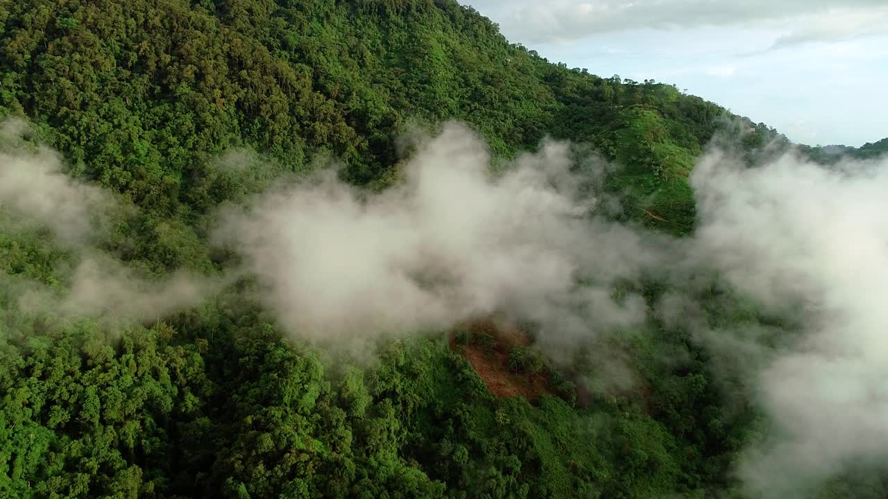 多雾的森林山坡在南美洲的热带山脉，鸟瞰图。视频素材