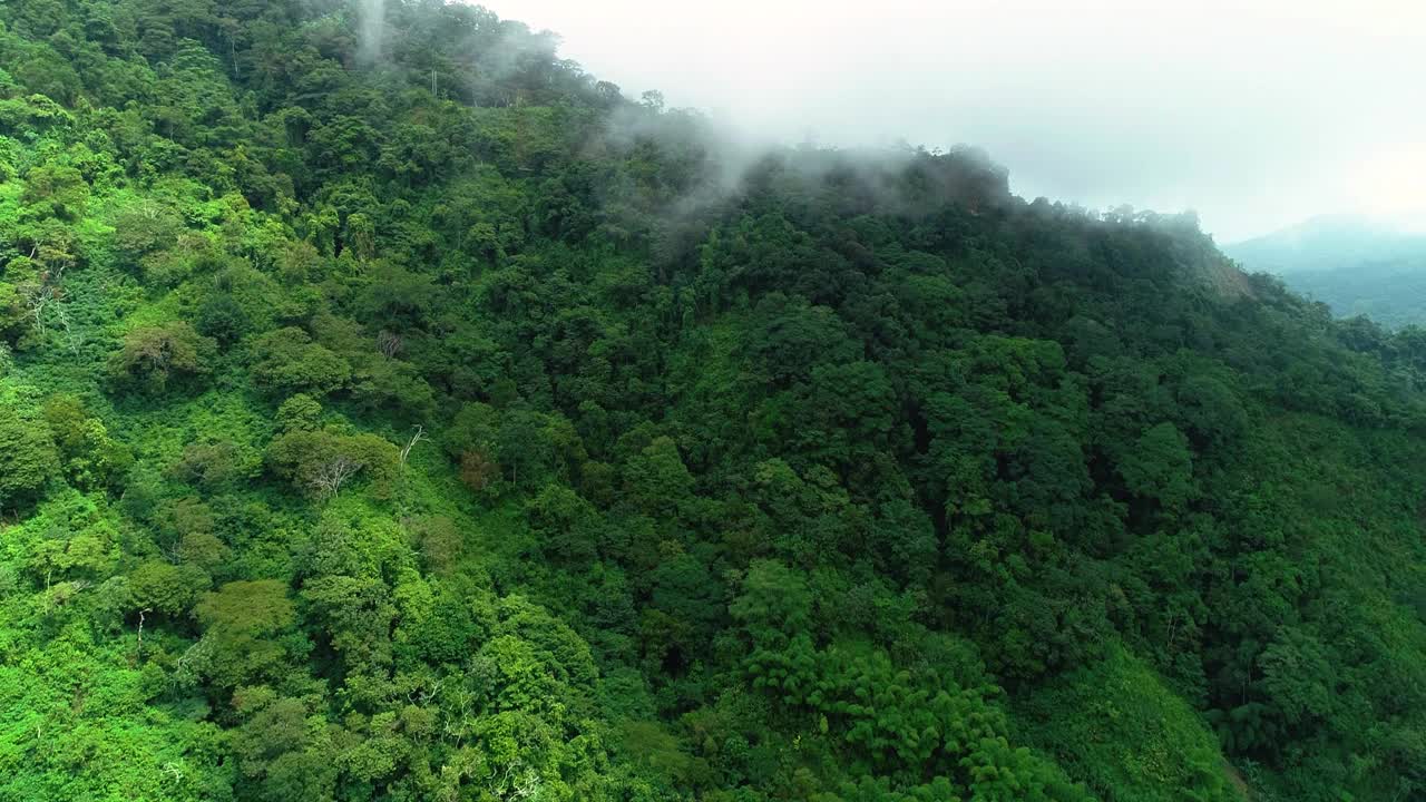 在热带地区，一架无人机飞过覆盖着绿色山峰的云层。视频素材