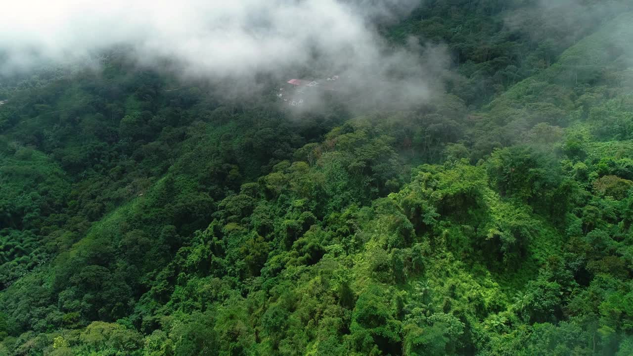 云雾在山区热带森林上空移动的鸟瞰图。视频素材