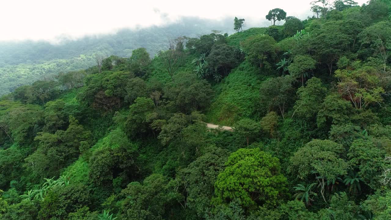 森林覆盖的山坡上，雾覆盖着后面的山峰。视频素材