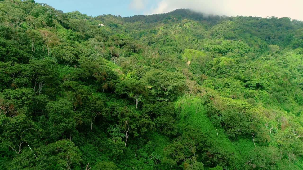 山坡上覆盖着不同的绿色热带树木的近景鸟瞰图。视频素材