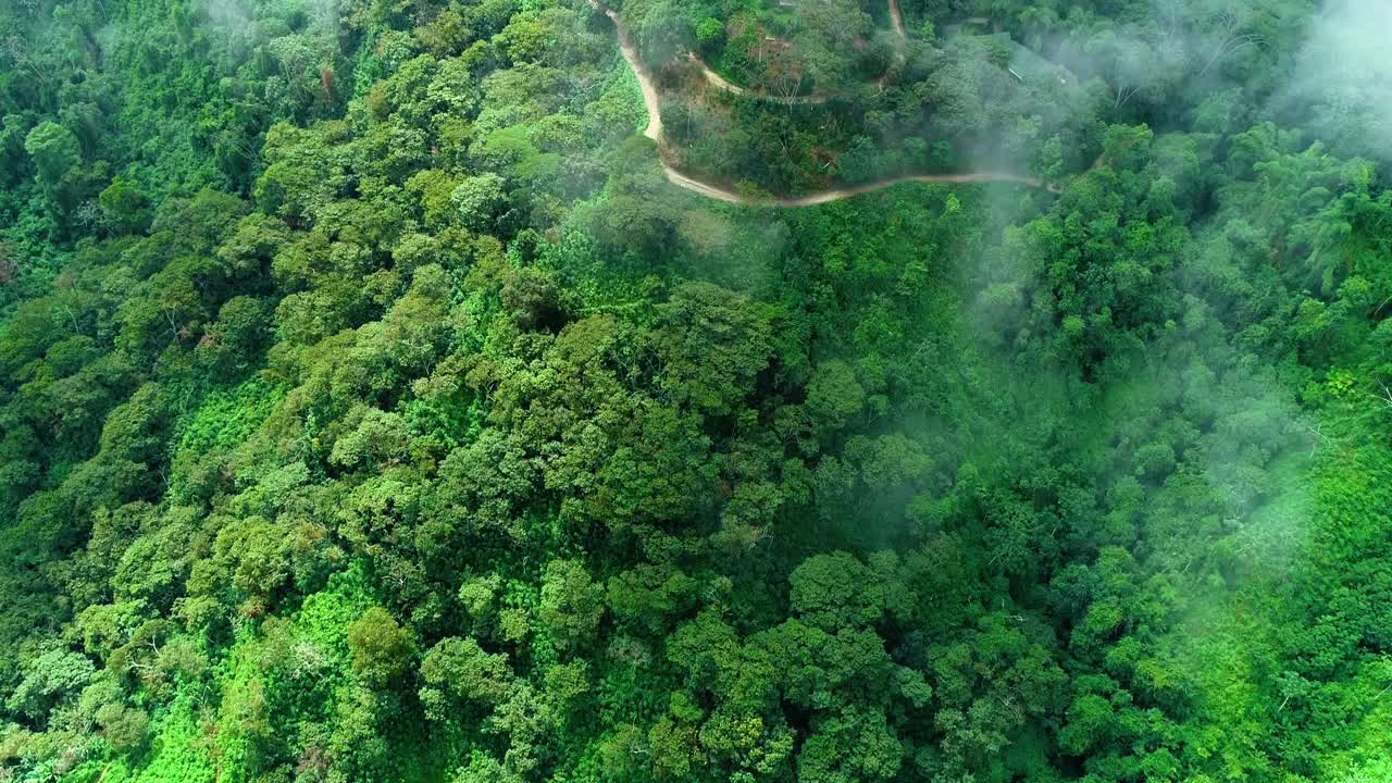 俯瞰绿色的热带山脉，村庄房屋，道路和雾。视频素材