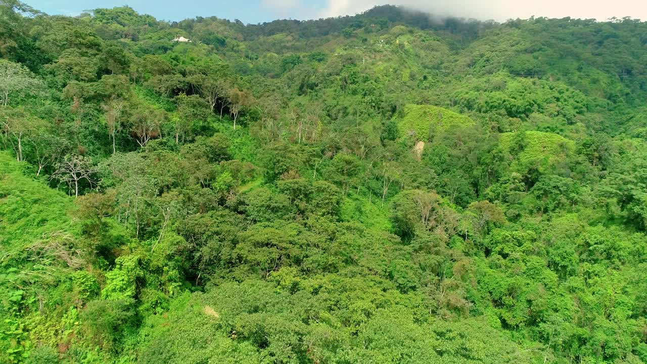 山地地形覆盖着树木、草、灌木和香蕉，无人机拍摄。视频素材