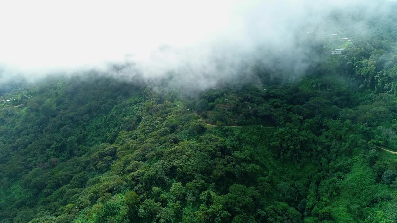 南美热带地区，被雾和绿色植被覆盖的山峰。视频素材