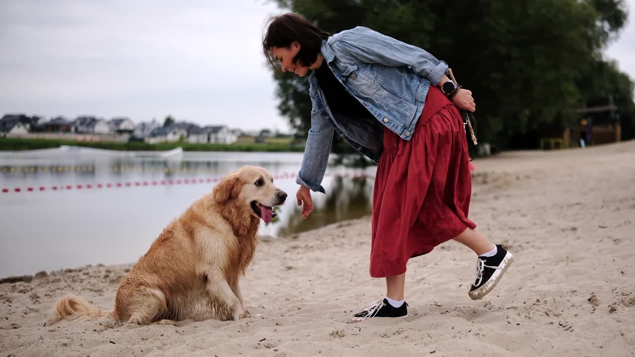 女主人教她的狗给爪子视频素材