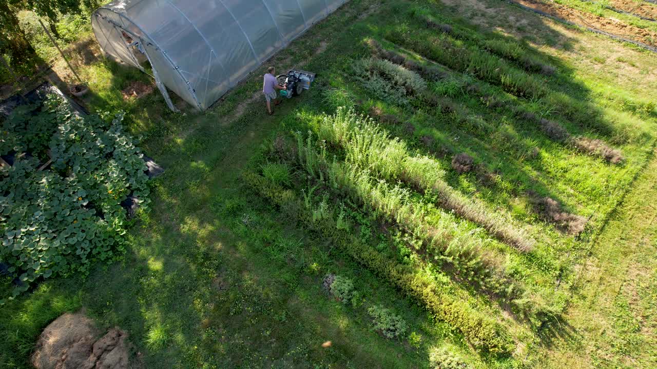 在有机农场，农民背着庄稼走在温室附近视频下载