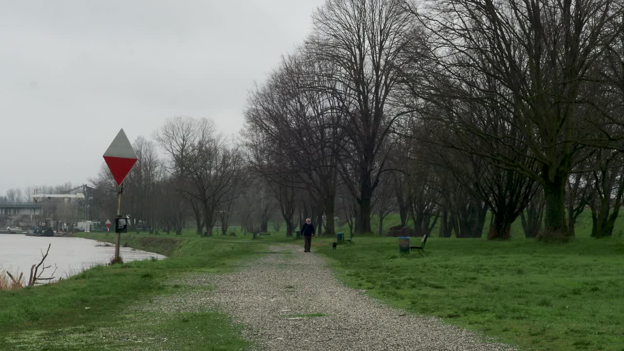 大雨过后，浑浊的河水泛滥，淹没了长满青草的河岸视频下载