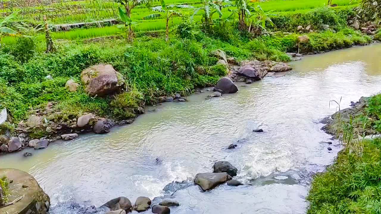 热带河流农村地区流动的水视频下载