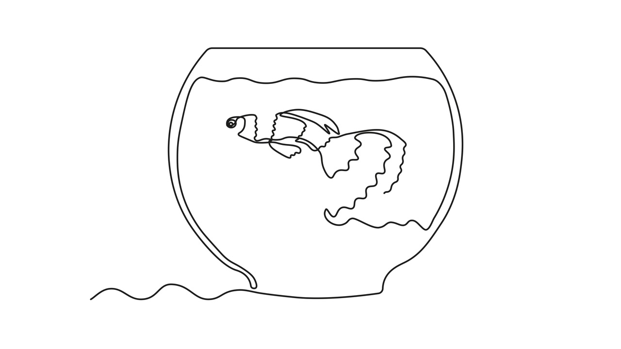 抽象水族馆，里面有藻类、海藻和鱼。自绘动画，采用一笔画风格，logo。视频素材画面3