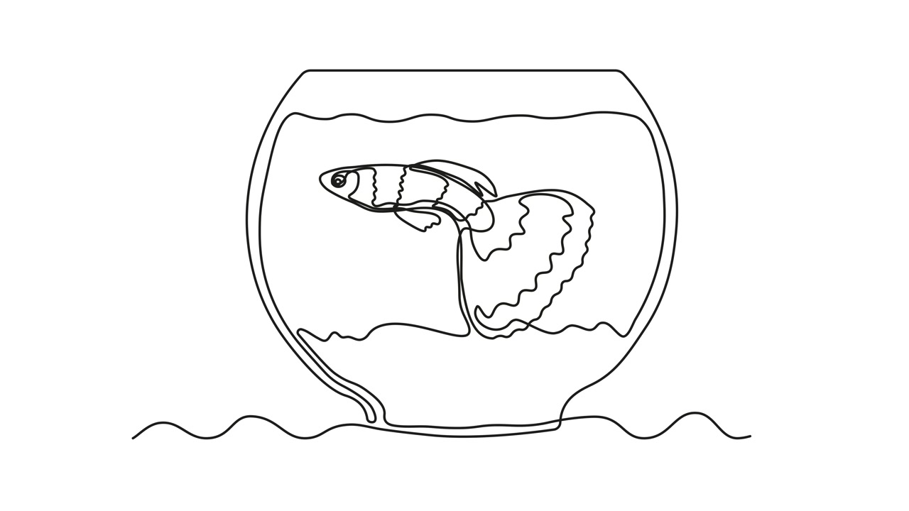 抽象水族馆，里面有藻类、海藻和鱼。自绘动画，采用一笔画风格，logo。视频素材画面4