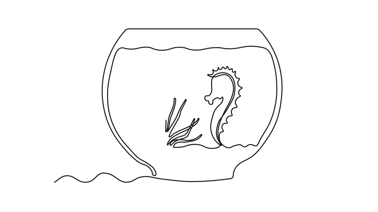 抽象水族馆，带有藻类、海草和海马。自我绘制动画，一笔画出，标志。视频素材画面3