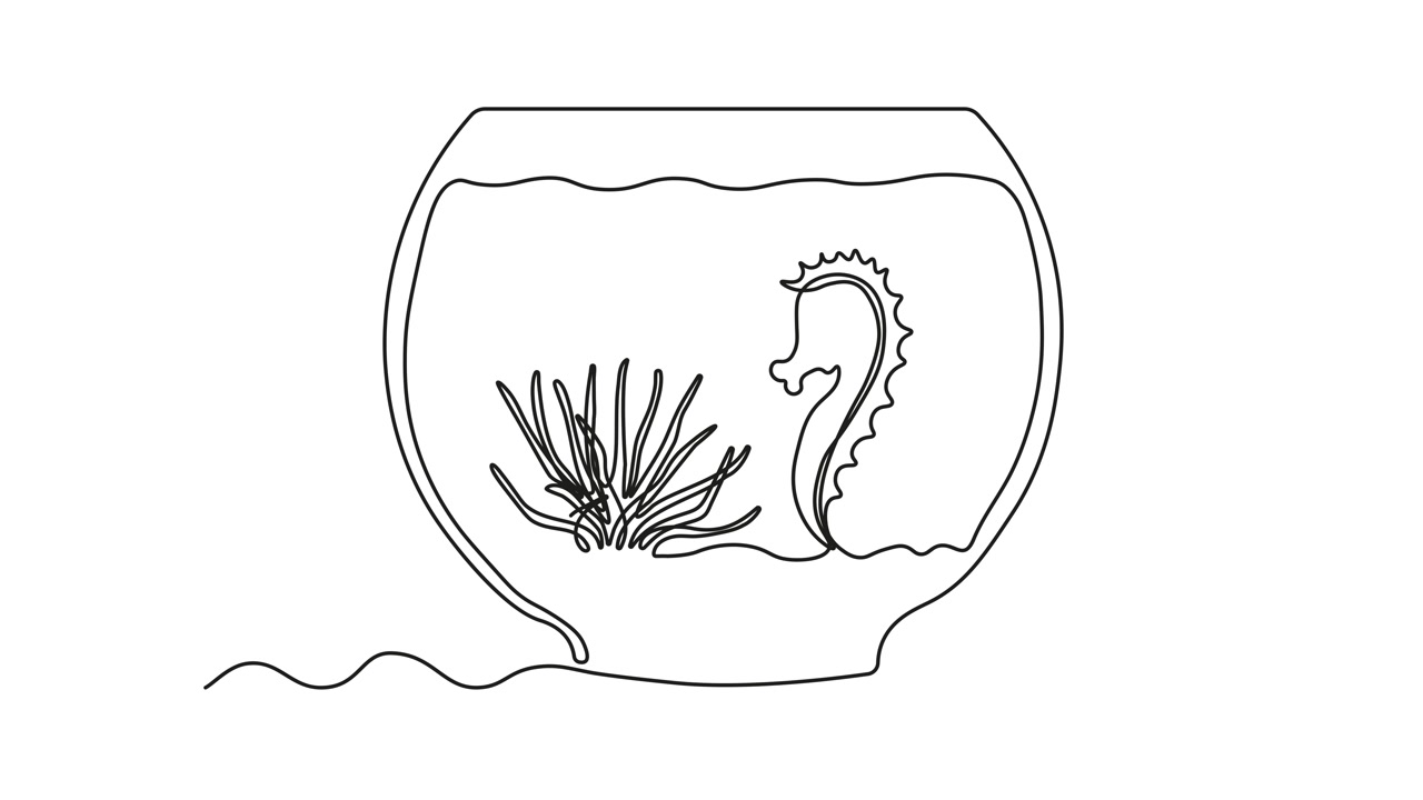 抽象水族馆，带有藻类、海草和海马。自我绘制动画，一笔画出，标志。视频素材画面4