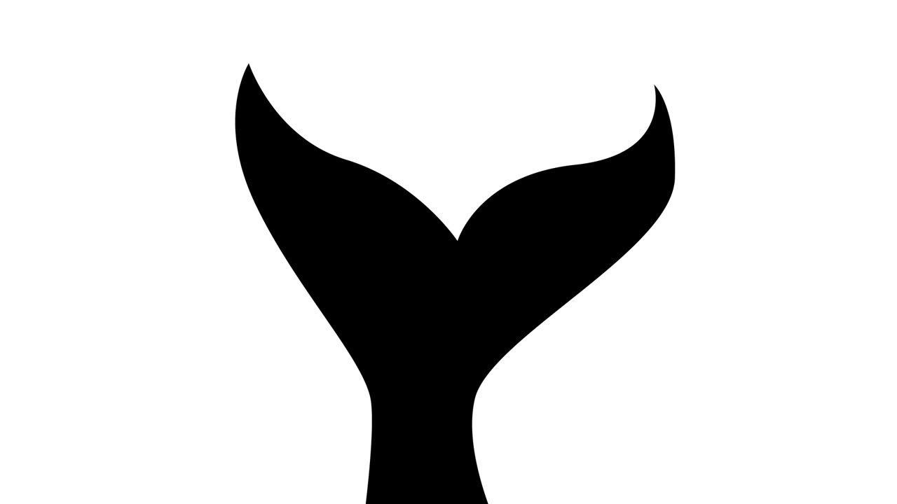 鱼尾图标简单动画视频素材画面1