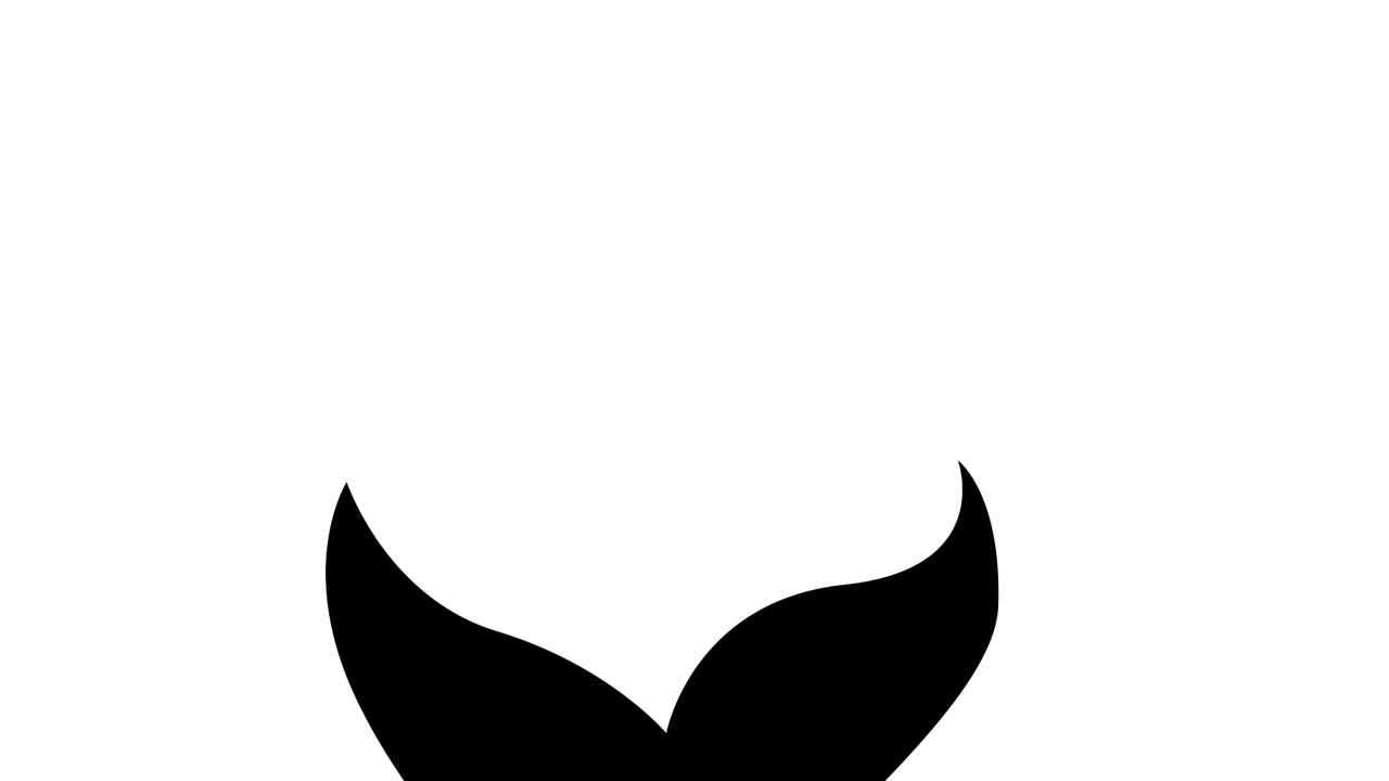 鱼尾图标简单动画视频素材画面4