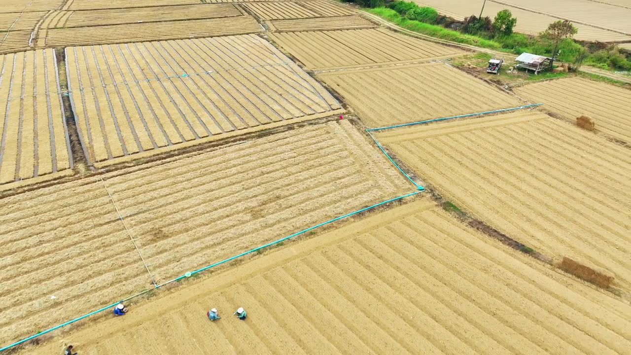 俯瞰的农业景观，展示了农业产业和农村经济视频素材画面1