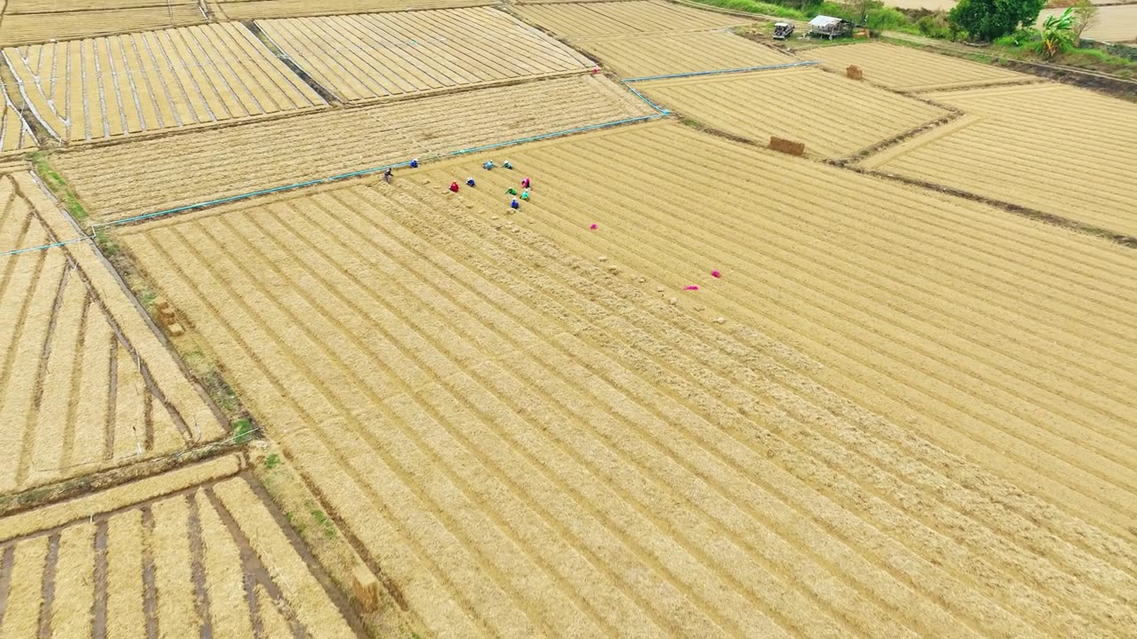 俯瞰的农业景观，展示了农业产业和农村经济视频素材画面4