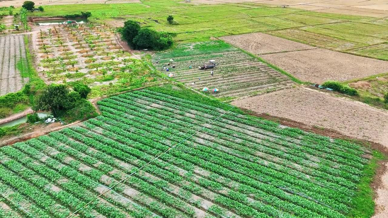 航拍农业景观，展示了农业产业和乡村经济视频素材画面1