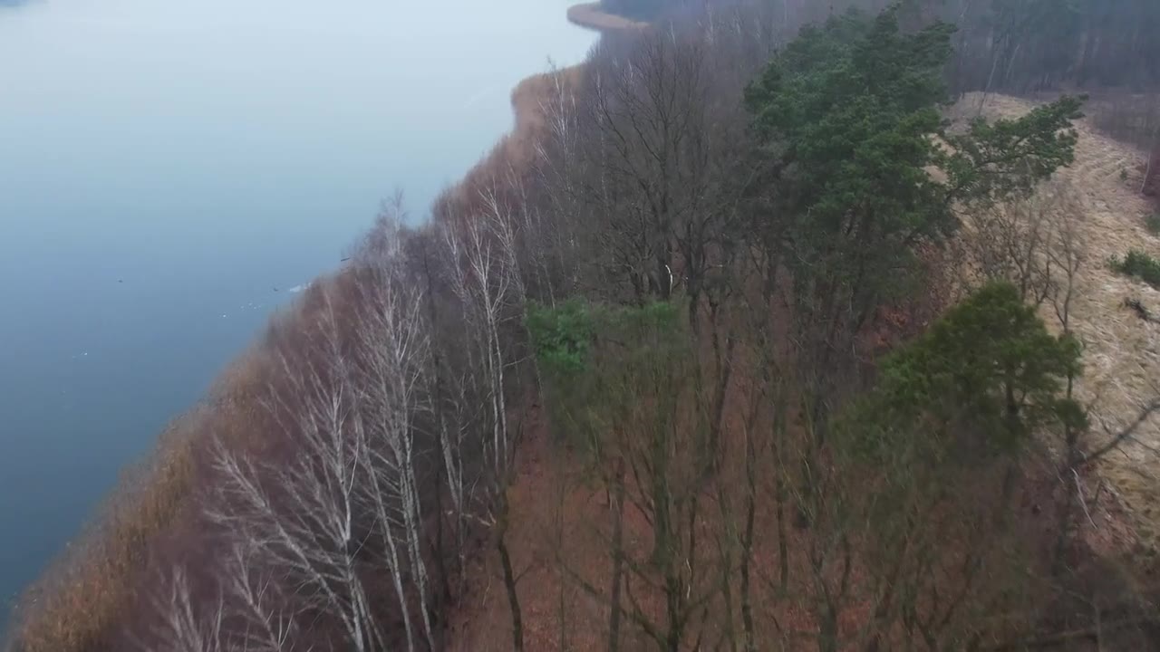 无人机沿着薄雾笼罩的湖岸和森林海岸线向前飞行视频素材画面1