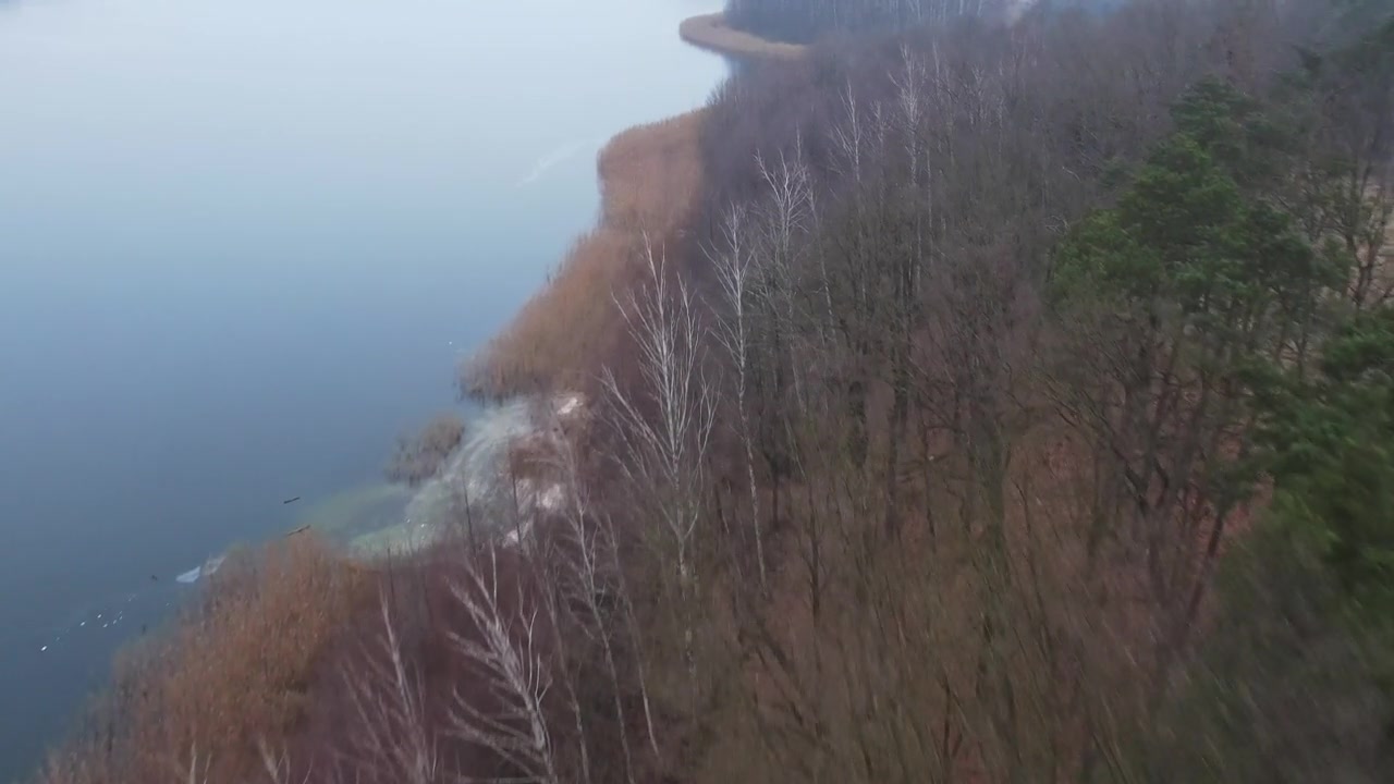 无人机沿着薄雾笼罩的湖岸和森林海岸线向前飞行视频素材画面2