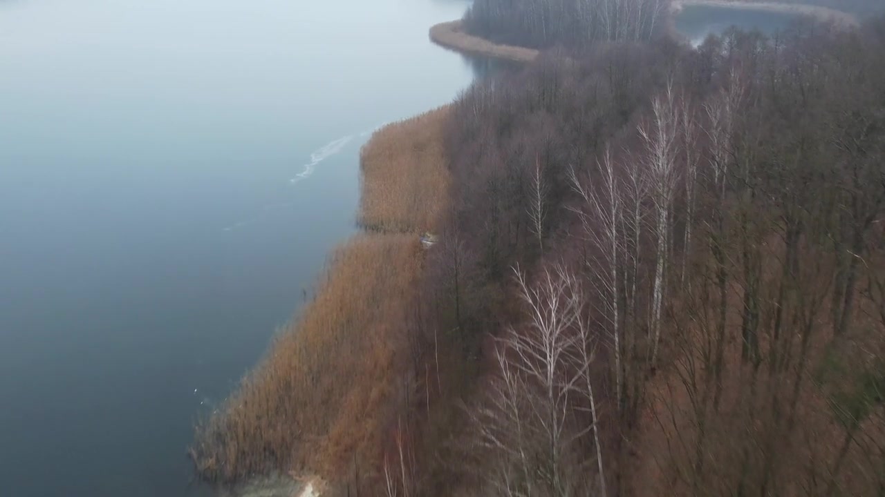 无人机沿着薄雾笼罩的湖岸和森林海岸线向前飞行视频素材画面3