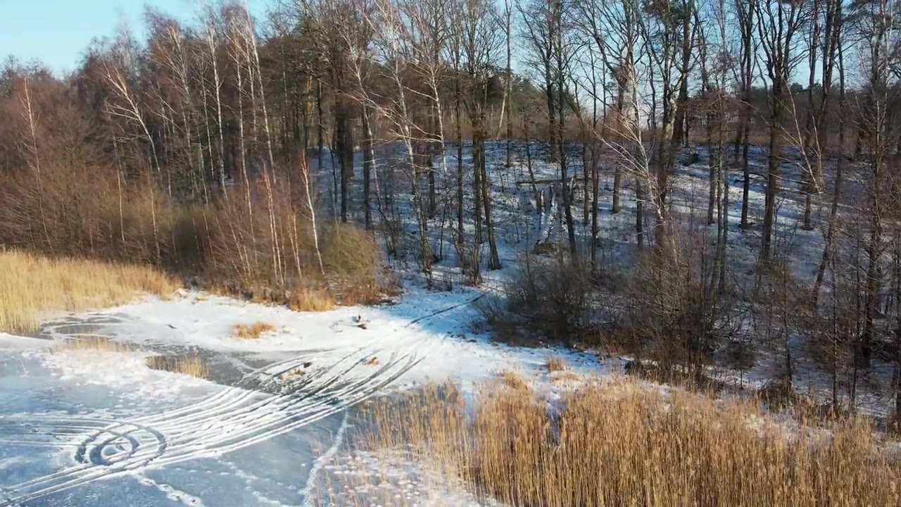 冬季，无人机沿着冰冻的湖面和森林海岸线向前飞行视频素材画面4