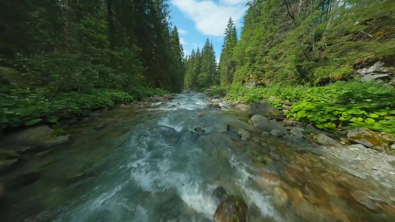 FPV穿越机视角，飞越山间河流。斯洛伐克，塔特拉山。视频素材画面2