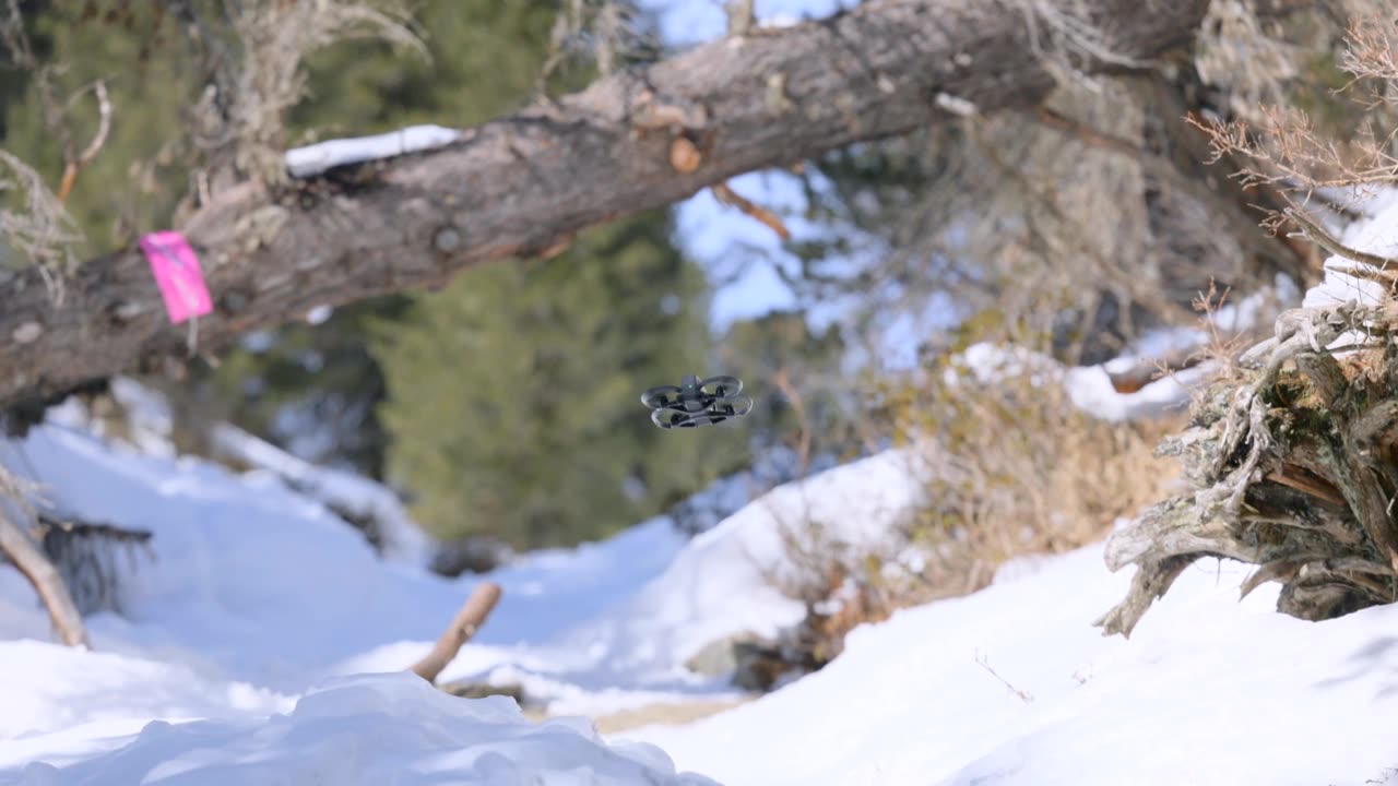 大疆Avata 2无人机低空掠过雪林小径，捕捉电影感的冬季航拍画面。视频素材画面1