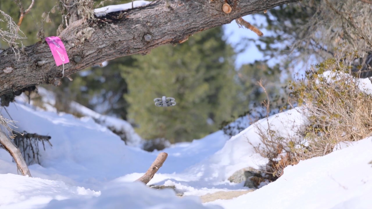 大疆Avata 2无人机低空掠过雪林小径，捕捉电影感的冬季航拍画面。视频素材画面3