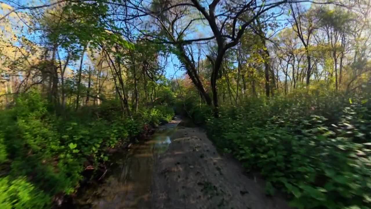 低空FPV视角，在阳光明媚的日子里，飞越溪流，穿过森林溪州立公园的树木。FPV无人机镜头向前推进，向左翻滚，向右平移180度，然后在该区域向后拉出。视频素材画面1