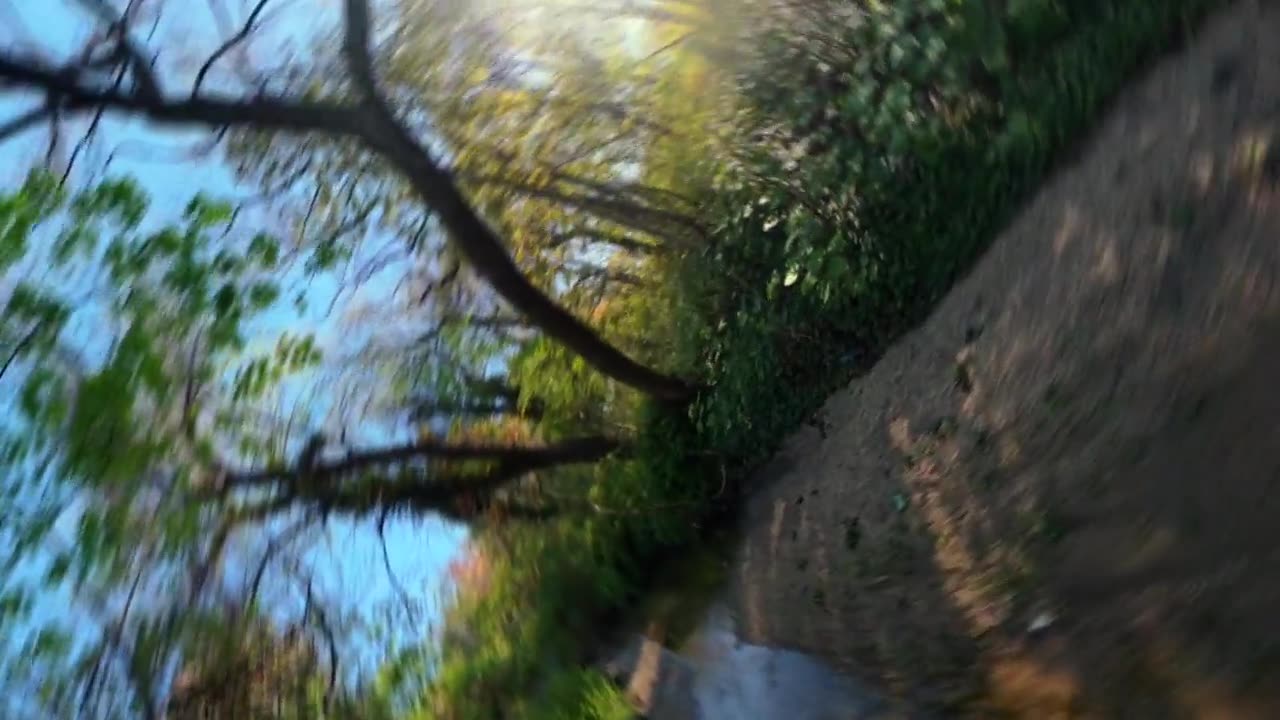 低空FPV视角，在阳光明媚的日子里，飞越溪流，穿过森林溪州立公园的树木。FPV无人机镜头向前推进，向左翻滚，向右平移180度，然后在该区域向后拉出。视频素材画面2
