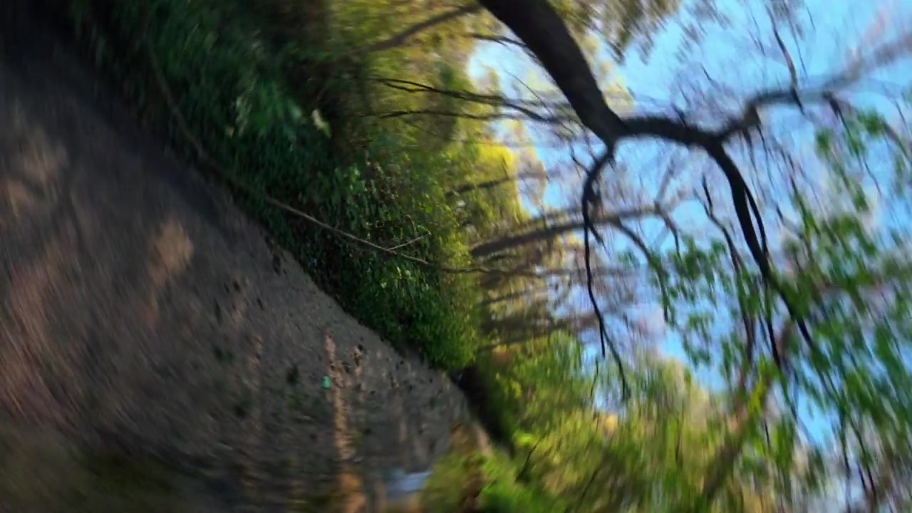 低空FPV视角，在阳光明媚的日子里，飞越溪流，穿过森林溪州立公园的树木。FPV无人机镜头向前推进，向左翻滚，向右平移180度，然后在该区域向后拉出。视频素材画面3