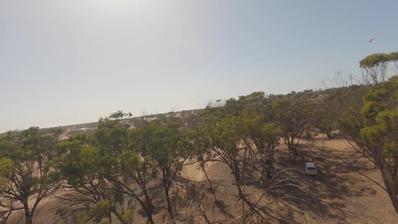 FPV穿越机飞越半干旱景观中的摩洛哥阿加迪尔的阿甘树树冠，背景中有直升机。航拍视频素材画面1
