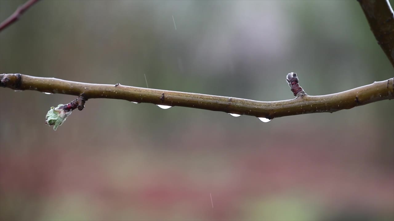 农业科技与水土保持视频素材画面1