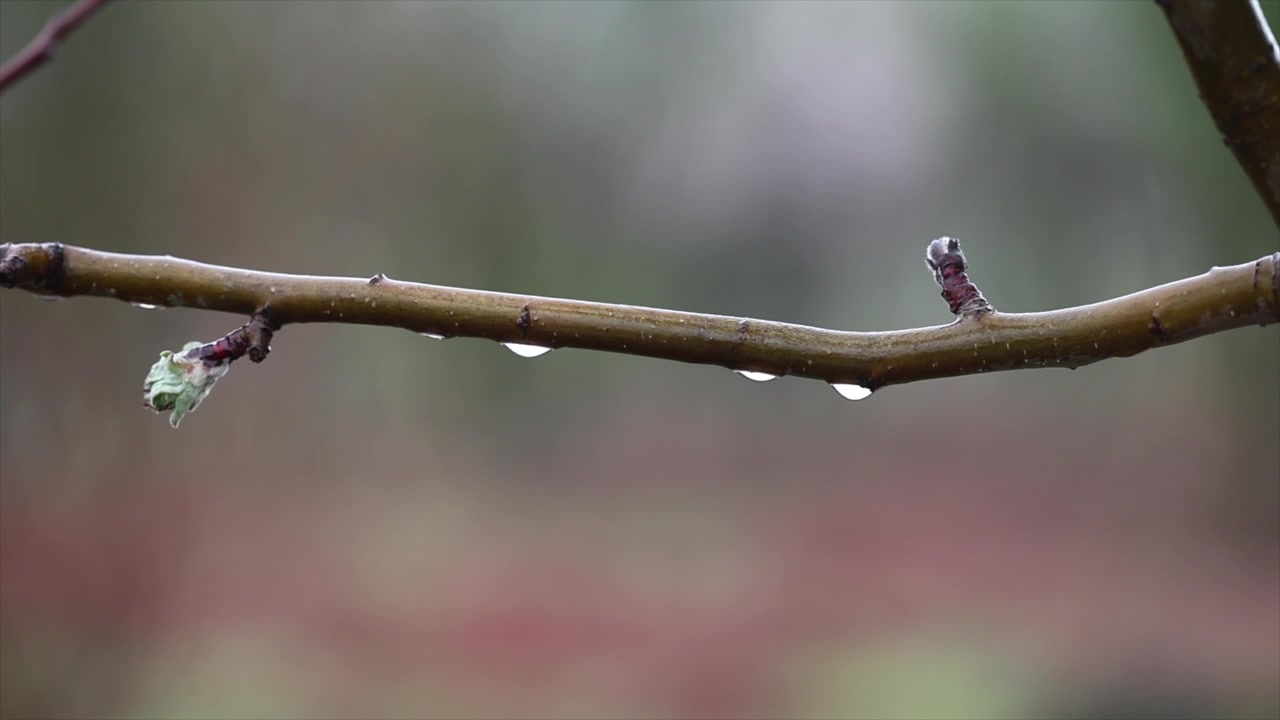 农业科技与水土保持视频素材画面2