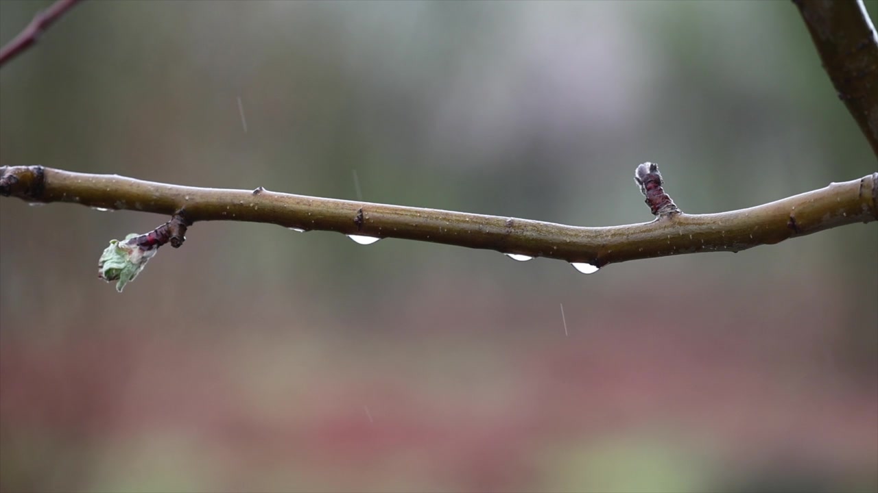 农业科技与水土保持视频素材画面3